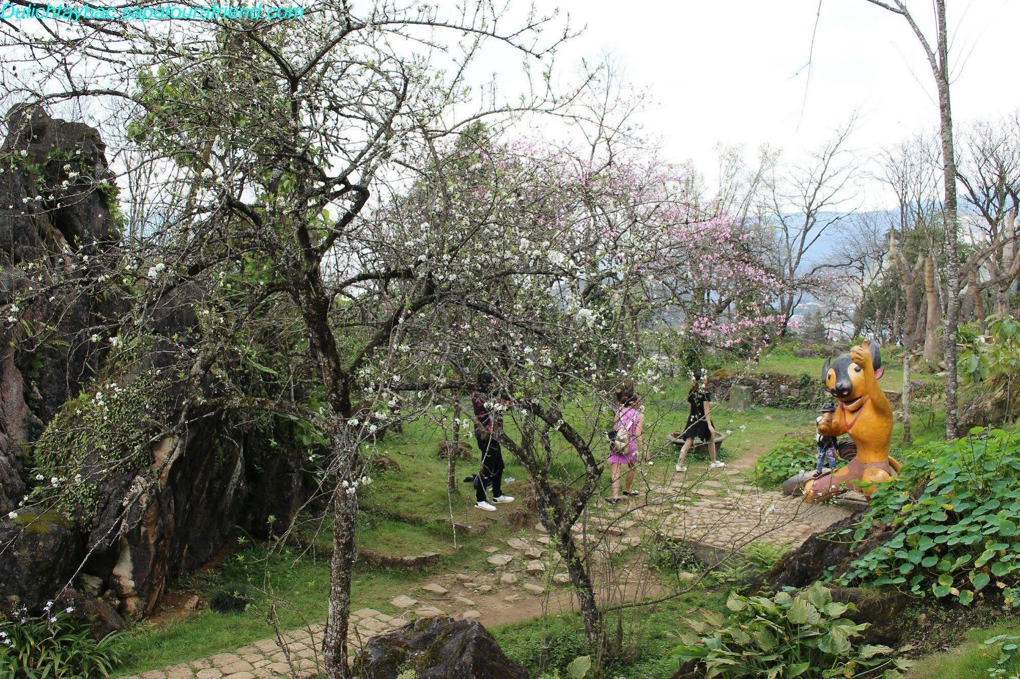 Sapa Sunflower Hotel ภายนอก รูปภาพ